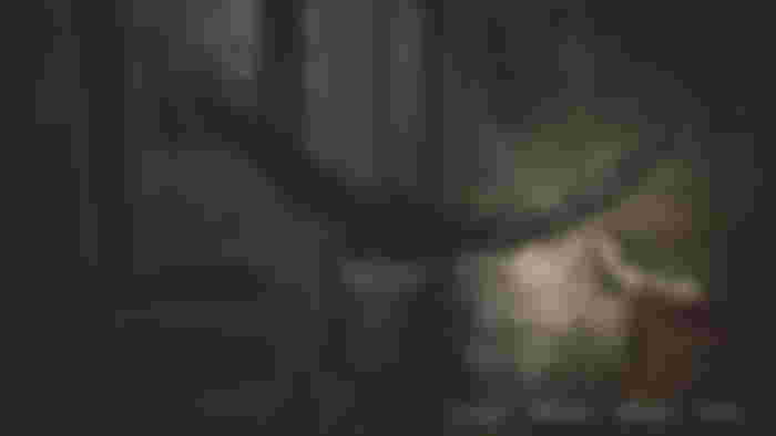 Silent Hill 2 Remake screenshot