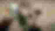 The character found a tarp on the beach in Sons of the Forest.