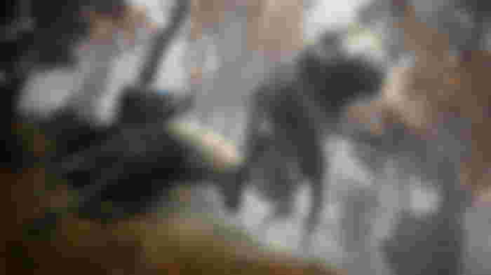 Elden Ring Horse Unlock: How to Get the Spectral Steed Whistle