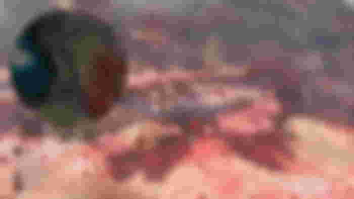 Clair Obscur: Expedition 33 Endless Night Sanctuary