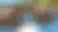 A dock in Unturned