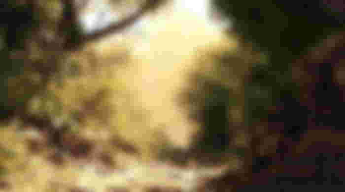 Image from Crysis Remastered: Images And Screenshots