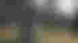 A woman prepares to fight some lizardman