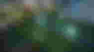 Image of a grassy stream in V Rising.