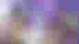 Genshin Impact characters against a purple background