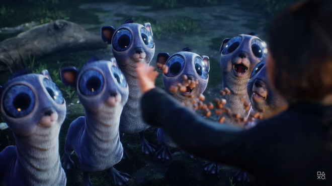 A screenshot of magical beasts in Hogwarts Legacy.