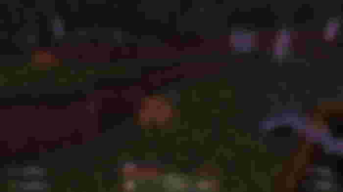 Minecraft Frogs
