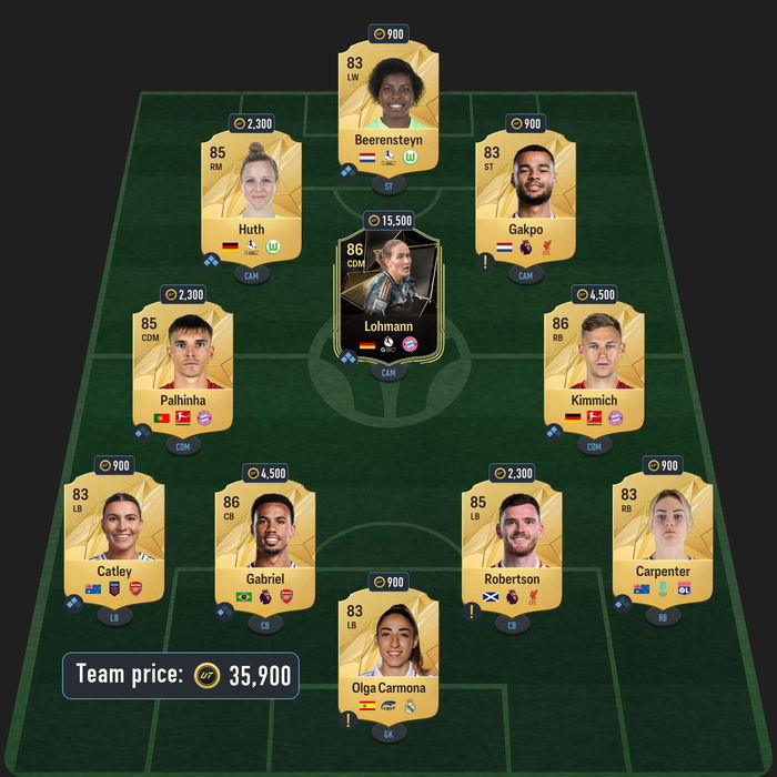 EA FC 25 Martens van Leer FUT Birthday SBC