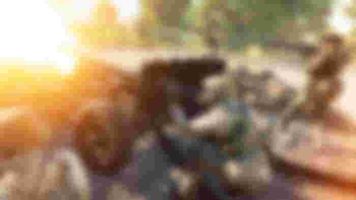 Battlefield 6