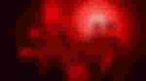feature image