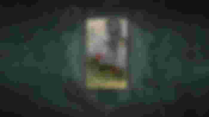 Hunter Card
