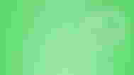 An image of the Whatsapp Logo.