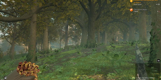 Image of Nightingale forest from first-person perspective