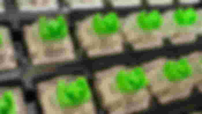 Razer's green switches for the Blackwidow V4 75%