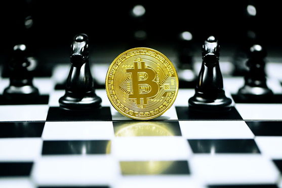 Bitcoin on a chess board