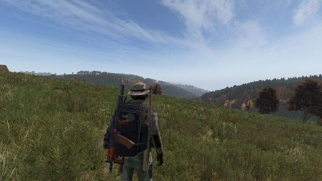 DayZ splint - character in a field