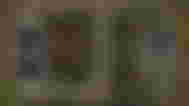 Best mods for Rimworld