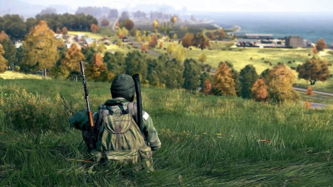 Lone DayZ player in a field