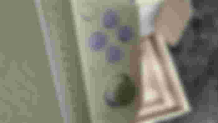 Close up of the Gamesir X2s' right hand side