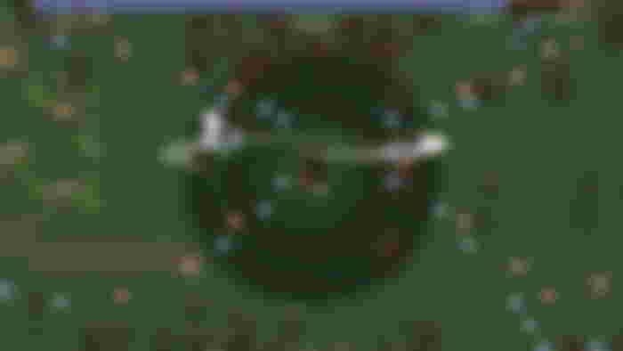 Image from Vampire Survivors Mobile is going to ruin my life