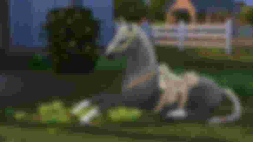 The Sims 4 Horse Ranch DLC