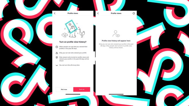 An image of the profile views feature on TikTok - can't see