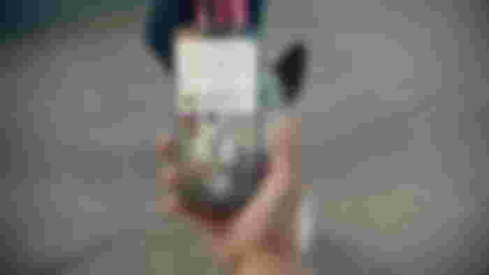 Apple intelligence iPhone