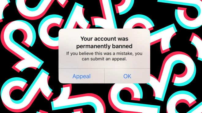 An image of a TikTok message that the account has been banned - TikTok Account Banned for No Reason
