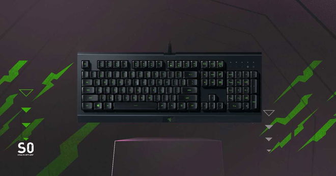 Razer Cynosa Lite: Gaming Keyboard Review