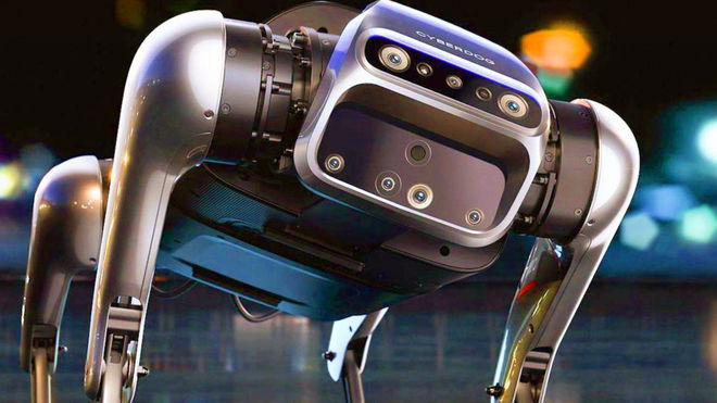 A robot dog looking directly at the camera 