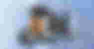 A gray, orange, and black WALL-E-like robot in front of a snowy blue background.