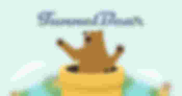 A brown bear popping out of a yellow tube below dark blue TunnelBear branding.