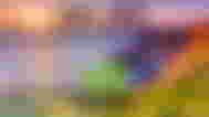 nvidia logo with sdr and hdr comparison in background