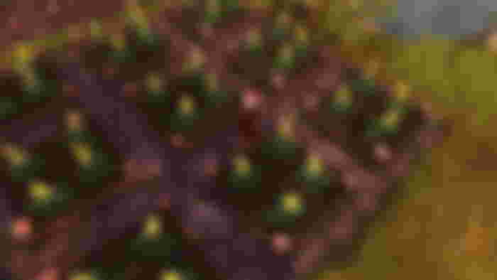 Veggies-in-Albion-Online-Island