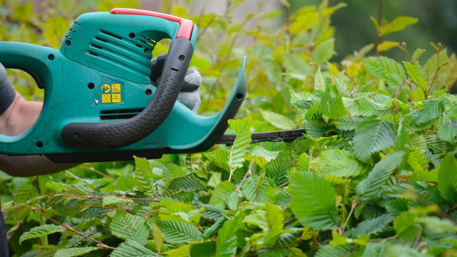 best hedge trimmer for thick branches
