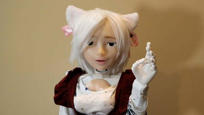 ‘Adult’ Robot Cat Girl uses advanced AI to detect objects and talk