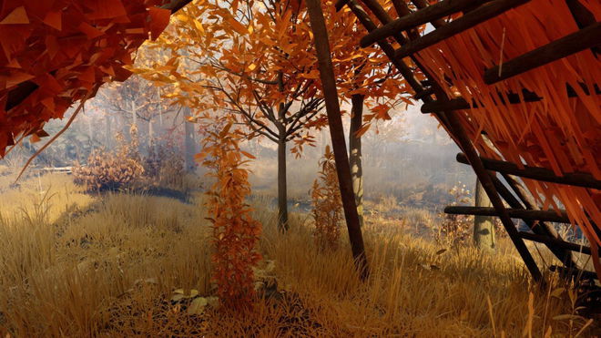 Nightingale forest 