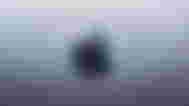 Apple logo