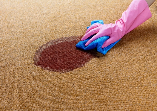 How to remove carpet stains 1