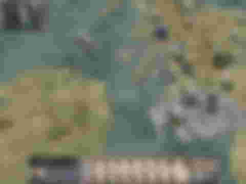 Medieval-Total-War