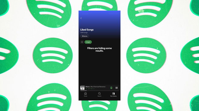 Turn Off Spotify Filters - An image of the "Filters are hiding some results" Error