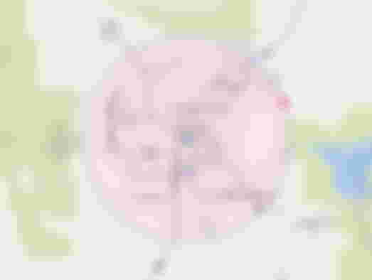CalcMaps - how to draw a radius on Google Maps