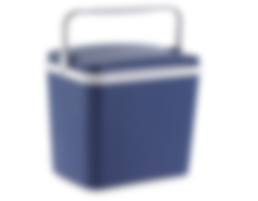 best cool box for camping budget