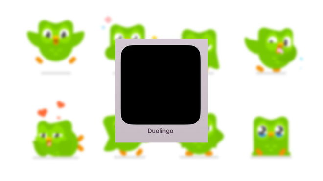 An image of the Duolingo Black Widget