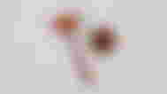 A wooden gavel on a white marble backdrop.
