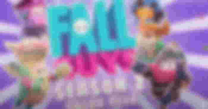 FallGuysCostume