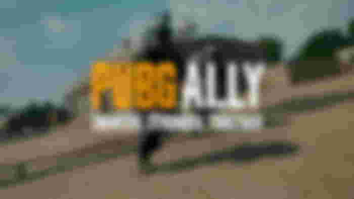 PUBG Ally