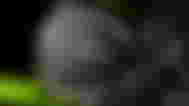 Nvidia RTX 4080 GPU flying out of some sci-fi hexagons