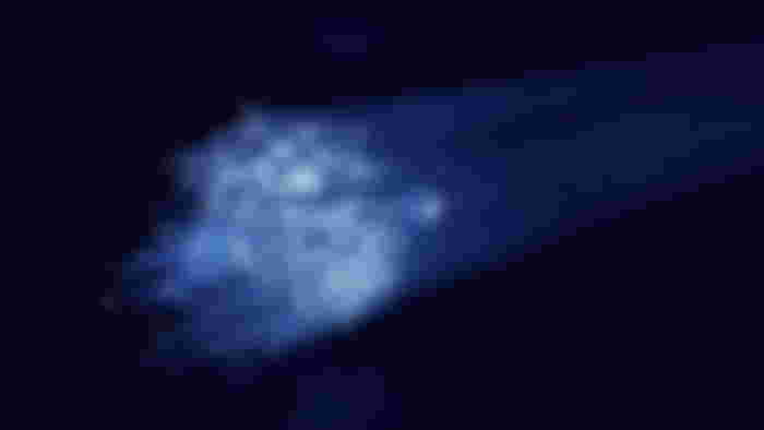 A bundle of optical fibers