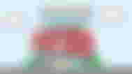 pizza emulators logo with shut down text in front
